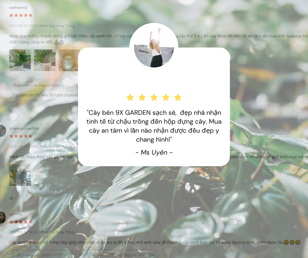 Đánh giá sản phẩm - 9X Garden