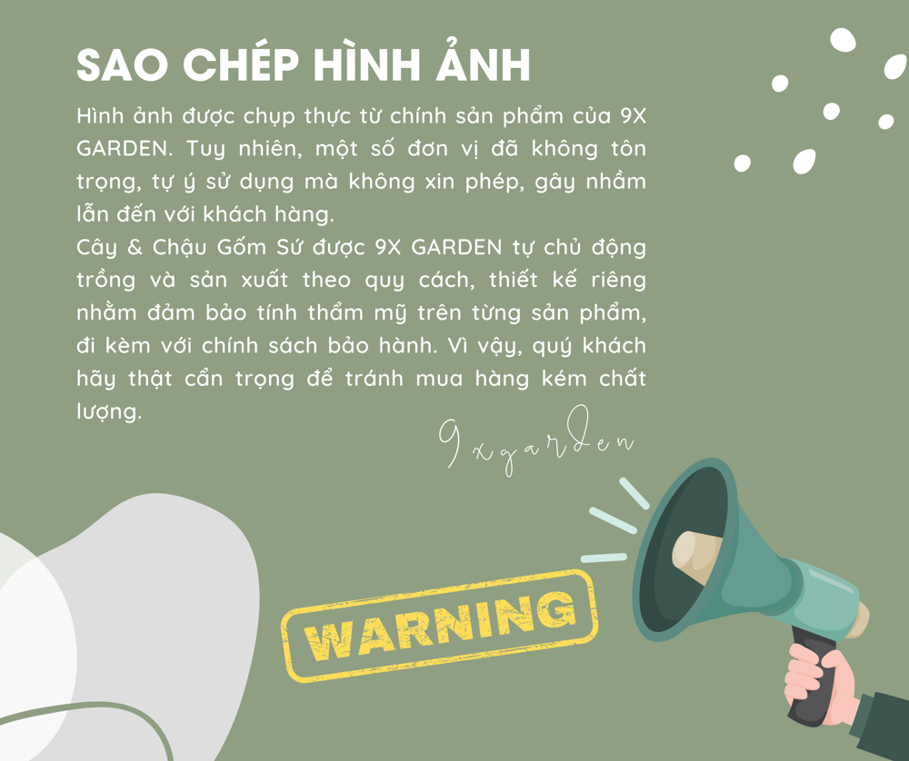 Bản quyền hình ảnh