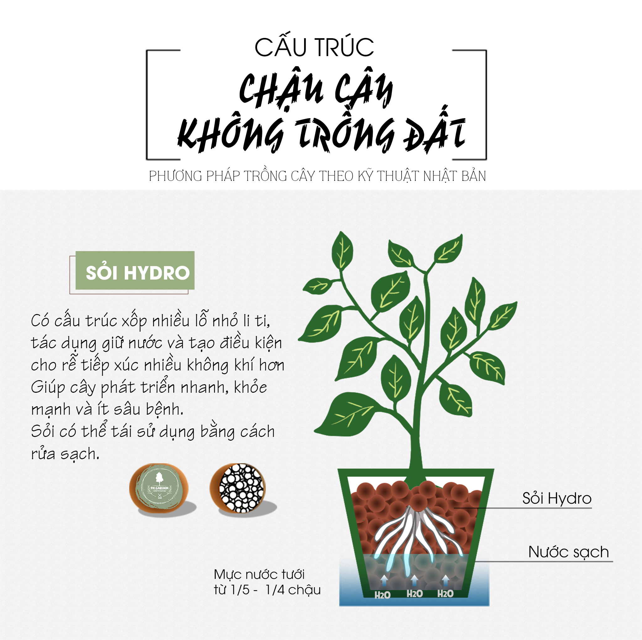 Cấu trúc cây trồng không đất