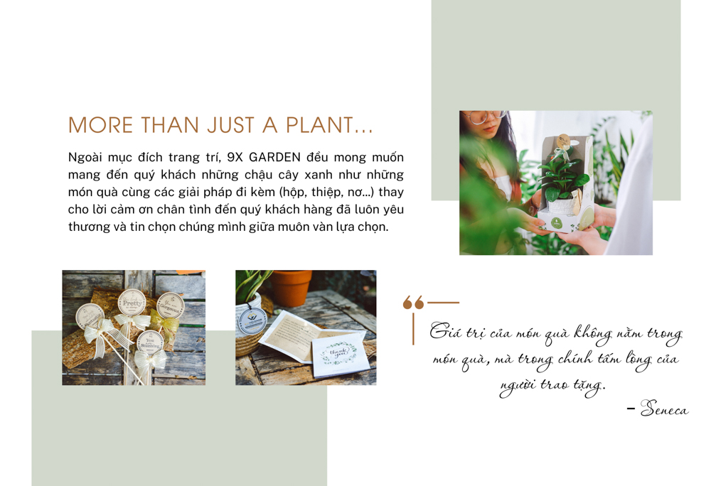 Giải pháp quà tặng - 9X Garden